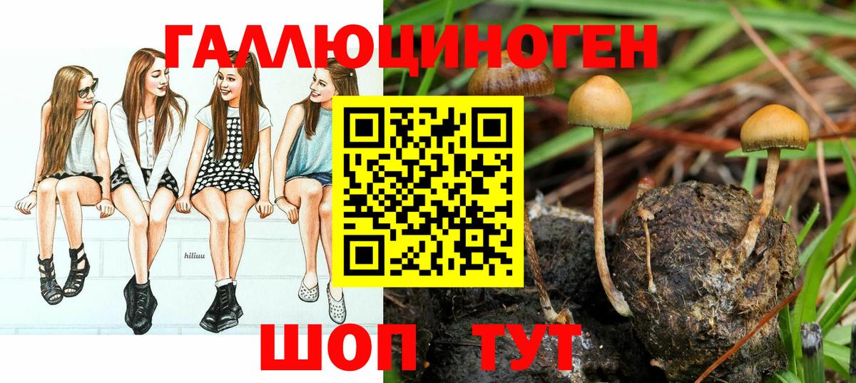 Псилоцибиновые грибы GOLDEN TEACHER Канаш