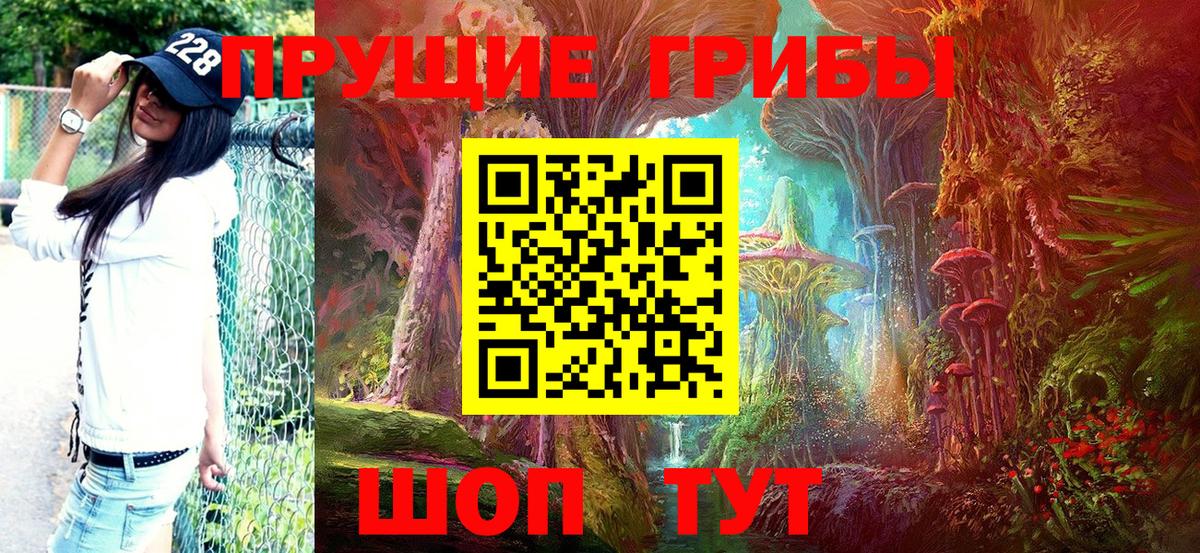 Канаш  Галлюциногенные грибы Psilocybe  Вход с VPN  Галлюциногенные грибы Cubensis 