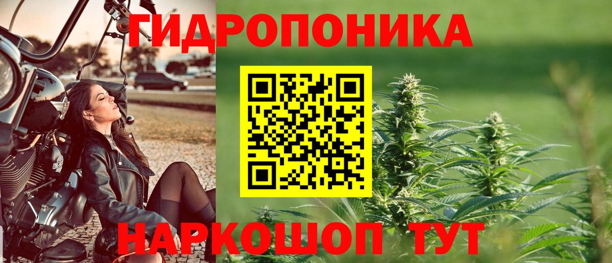 Марихуана AK-47  Каннабис семена  Канаш  Вход с VPN  Шишки марихуана гибрид 